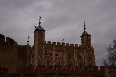 DSC_5677 (Large).JPG